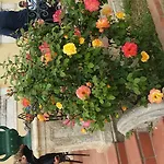 Masseria Damma