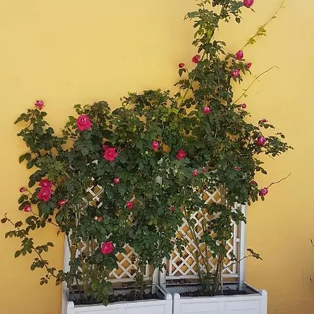 Masseria Damma