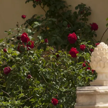 Masseria Damma Case Monterosso