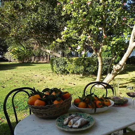 Masseria Damma منزل ريفي